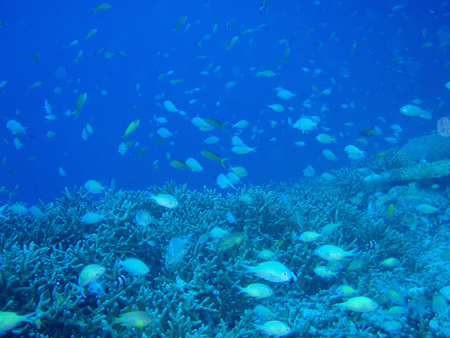 f0014842_19434015.jpg