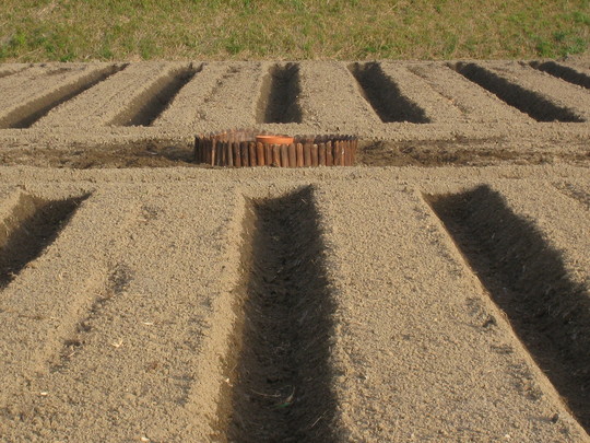 a0198243_030331.jpg