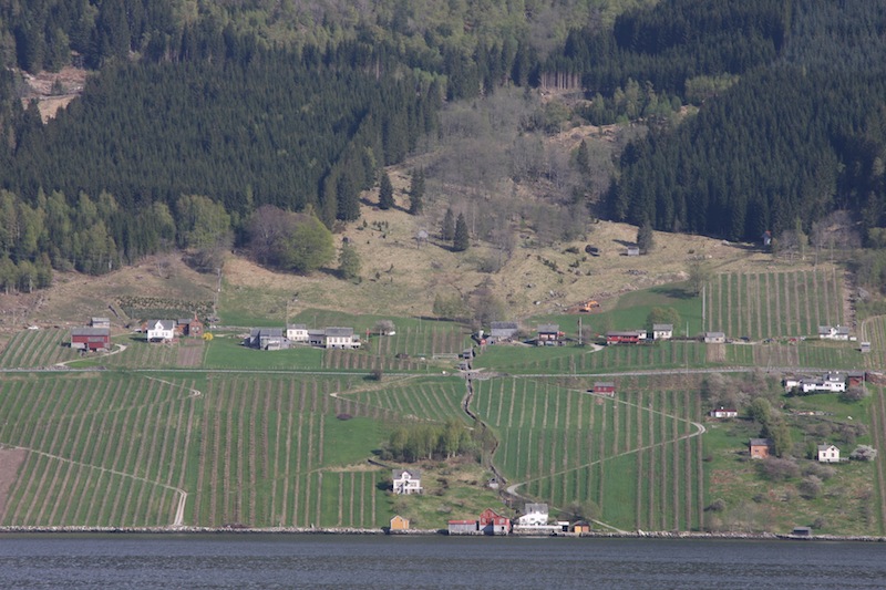 a0169844_615577.jpg