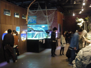 e0009049_033240.jpg