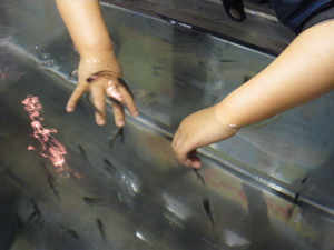 e0009049_035040.jpg
