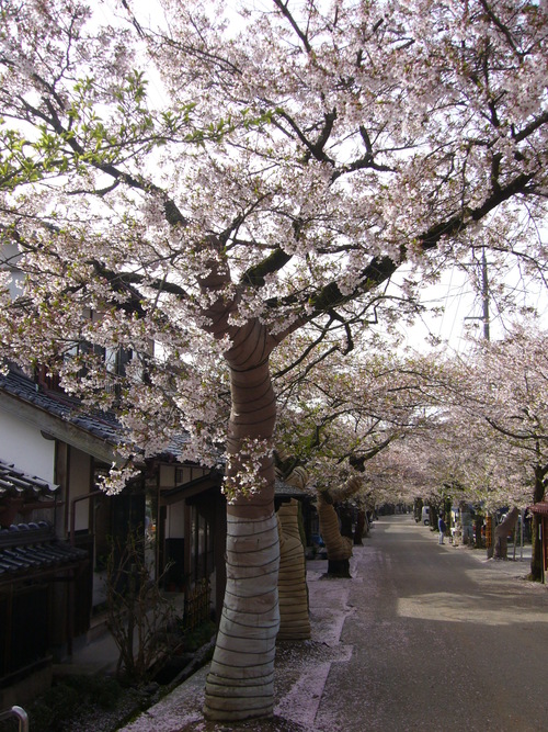 b0174451_821643.jpg