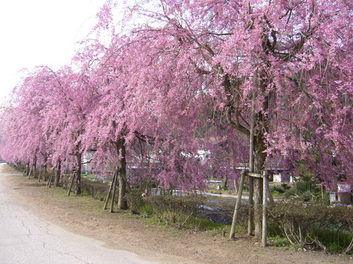 b0174451_842415.jpg