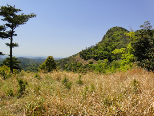 c0179351_17424847.jpg