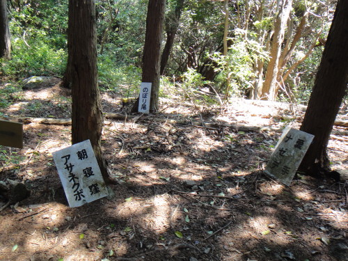c0179351_1744690.jpg