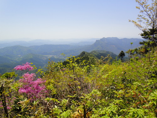 c0179351_17512892.jpg
