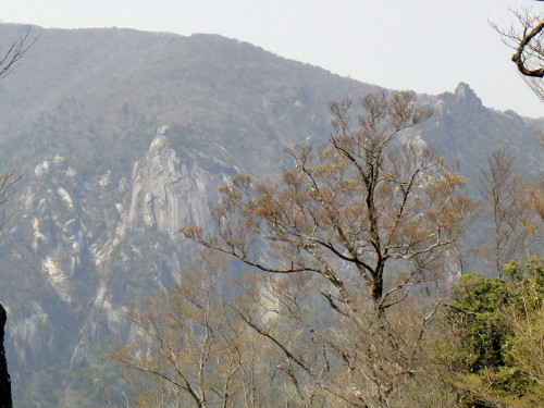 c0179351_21231211.jpg