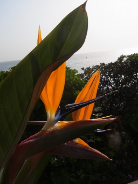 c0224154_2185135.jpg