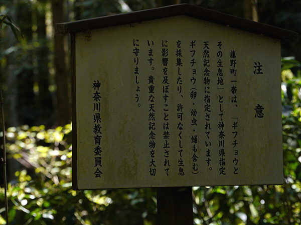 d0091754_0235712.jpg