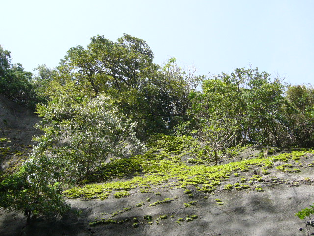 f0147556_22142820.jpg
