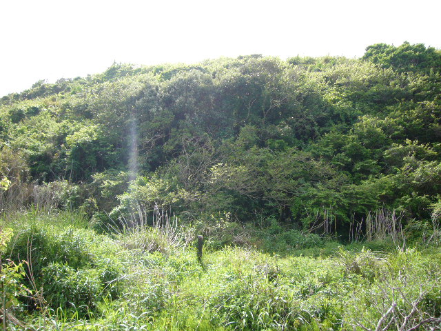 f0147556_2215278.jpg