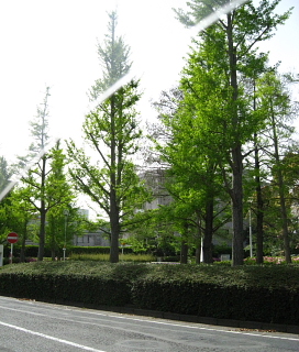 a0021558_18263447.jpg