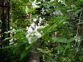 a0021558_1830569.jpg