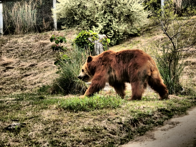 c0186760_20151334.jpg