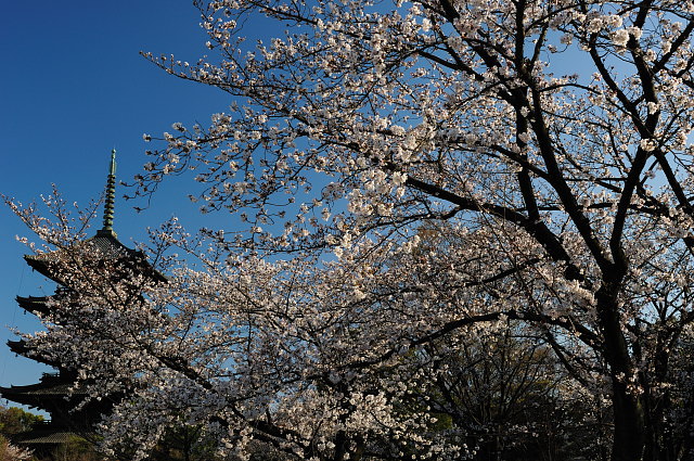 f0222161_8381341.jpg