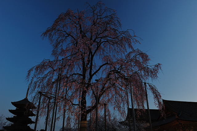 f0222161_8382538.jpg