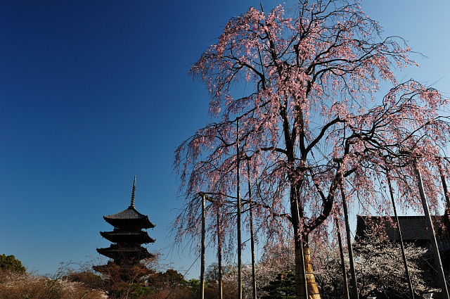 f0222161_838311.jpg