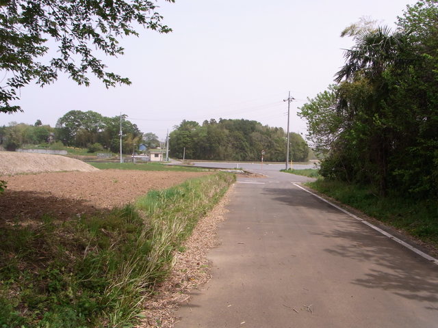 d0162966_21135332.jpg