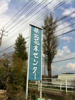 e0151566_19232661.jpg