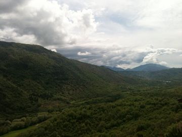 c0102268_216268.jpg