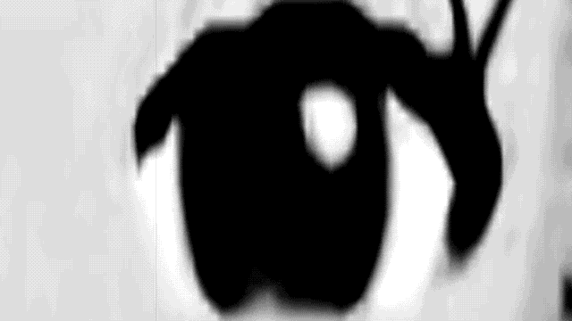 d0160172_2015240.gif