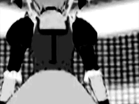 d0160172_20155546.gif