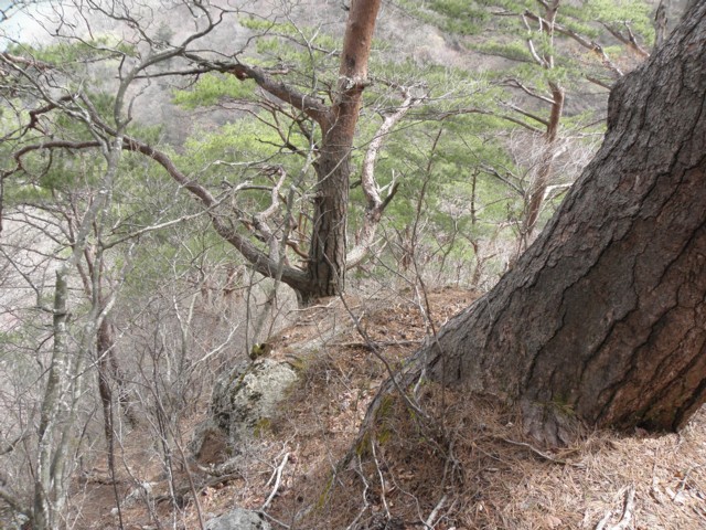 d0134473_17212778.jpg