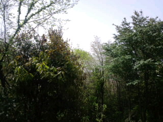 c0203680_1040462.jpg