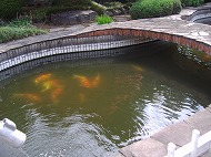 a0142083_10143694.jpg