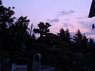 a0142083_10581245.jpg
