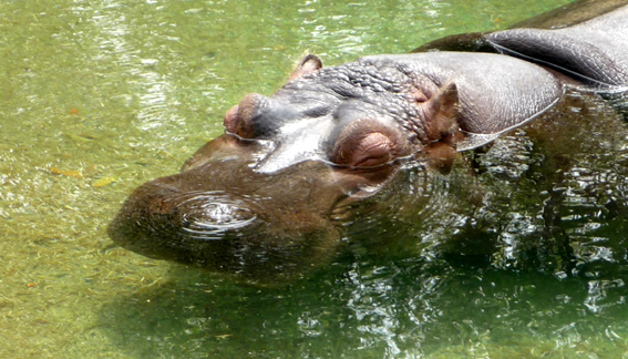 c0125283_840956.jpg