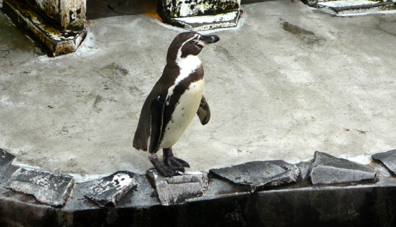 c0125283_8432145.jpg