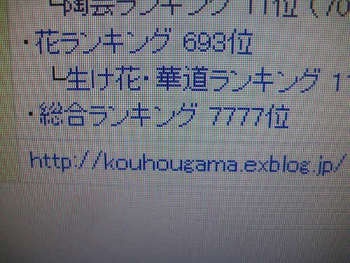 d0195183_2393318.jpg