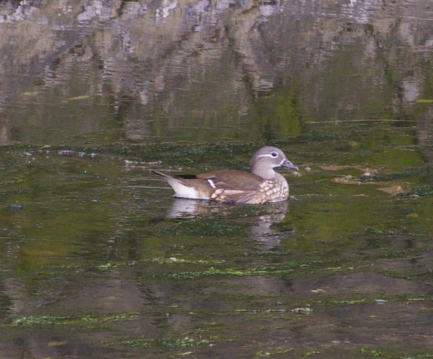 e0197884_234068.jpg