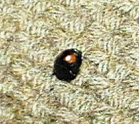 c0014187_21264297.jpg