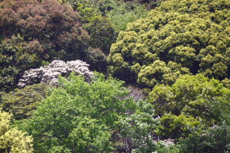 d0133693_22275117.jpg