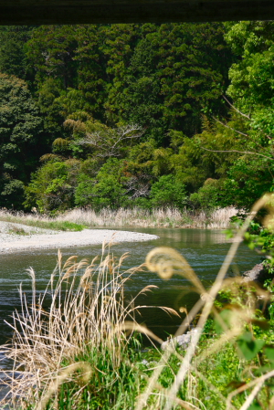 d0133693_22313711.jpg