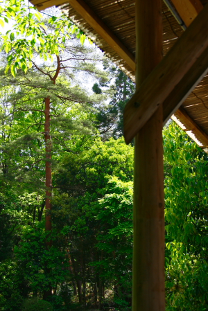 d0133693_22325748.jpg