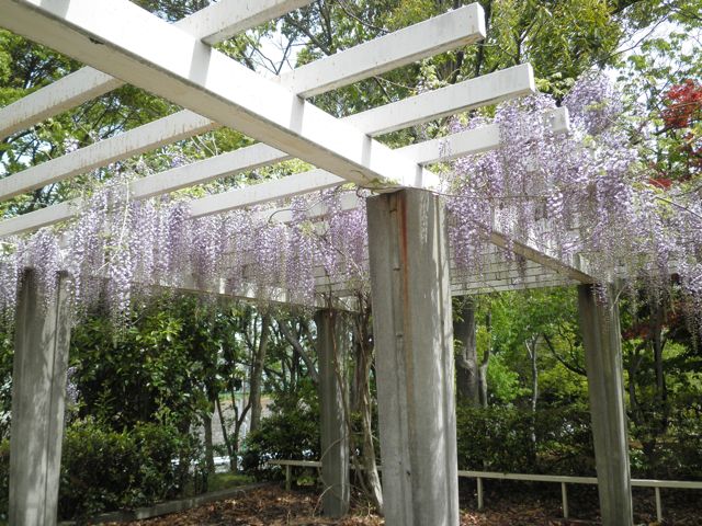 f0130894_20211831.jpg