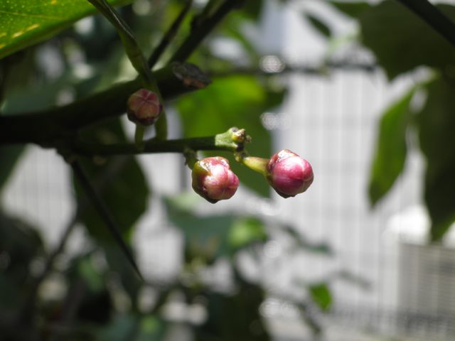 f0130894_20232071.jpg