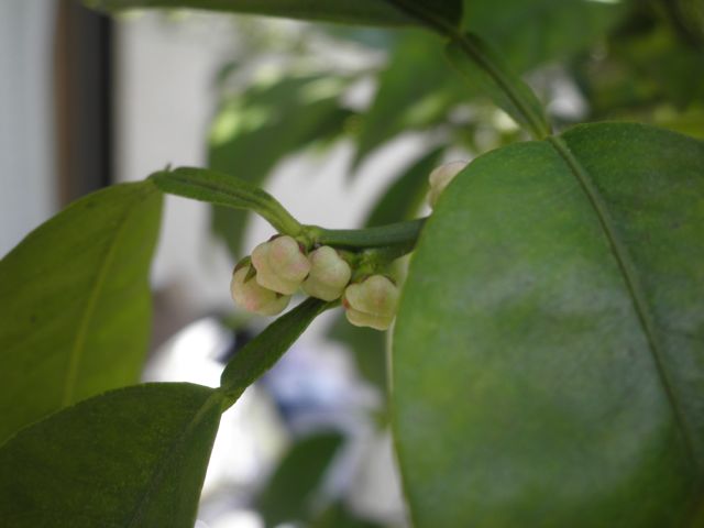f0130894_20233649.jpg