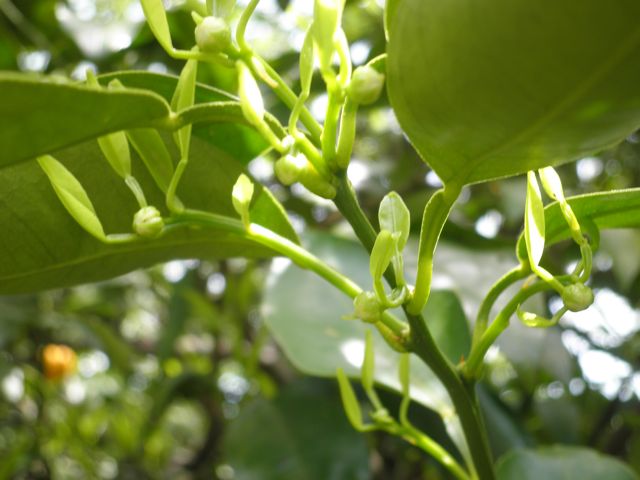 f0130894_202443.jpg