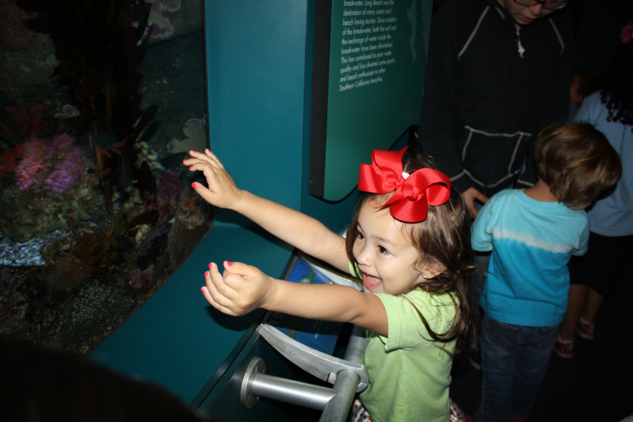 f0209395_1542153.jpg