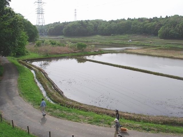 e0025300_12371195.jpg