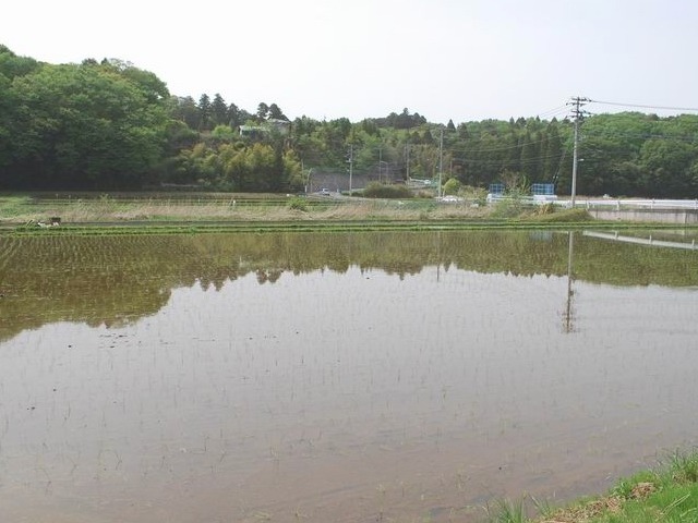 e0025300_12384568.jpg