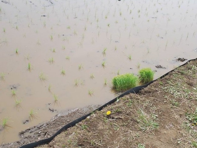 e0025300_12403696.jpg