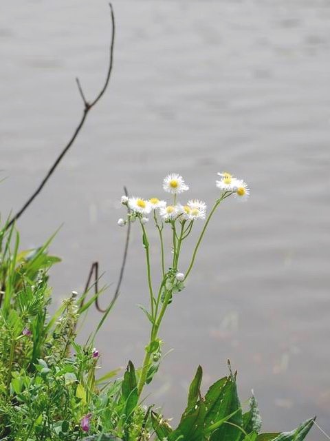 e0025300_1245452.jpg