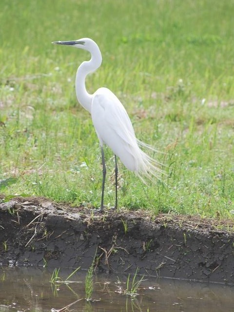 e0025300_12473251.jpg