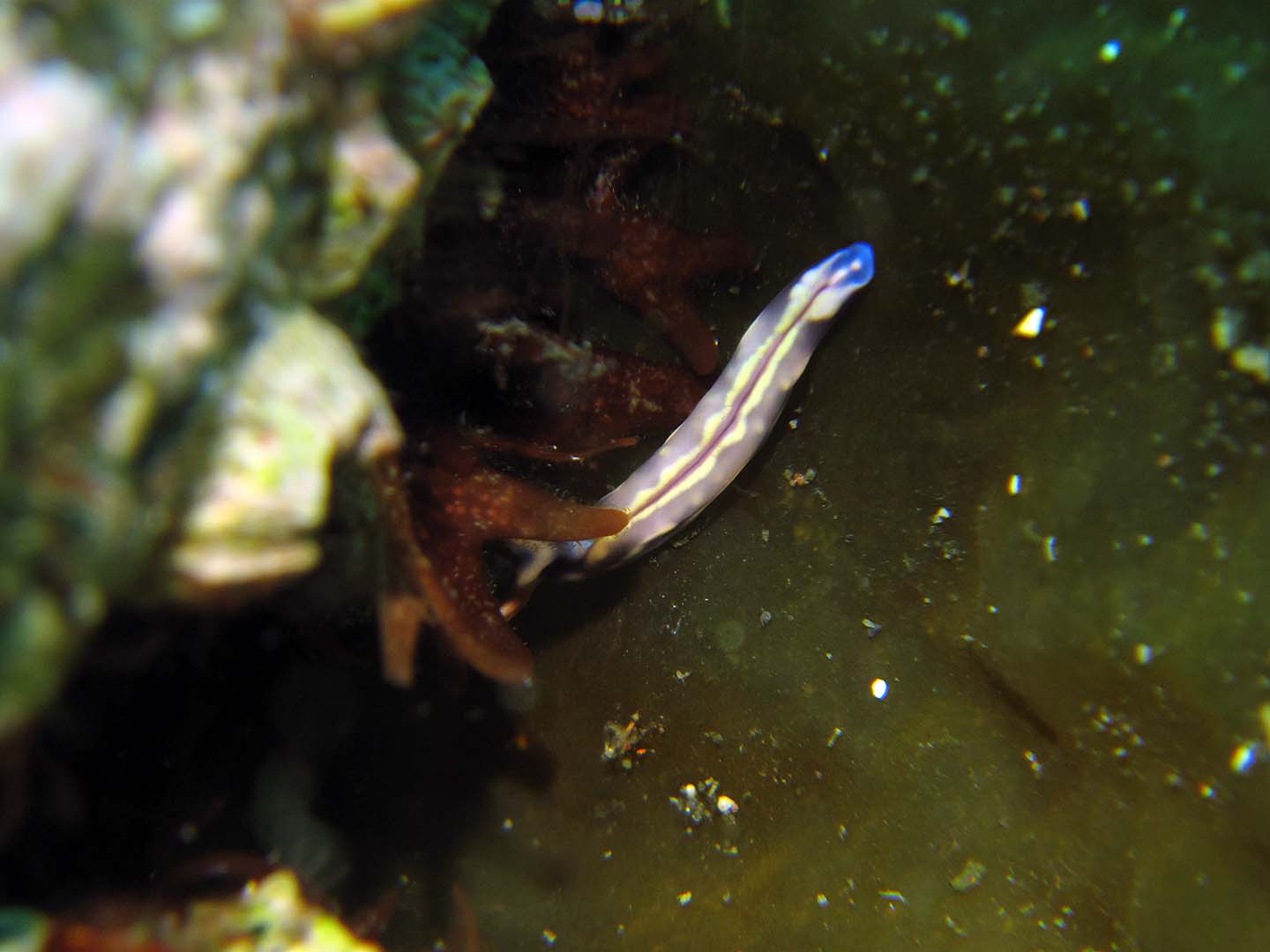 e0049101_2301010.jpg