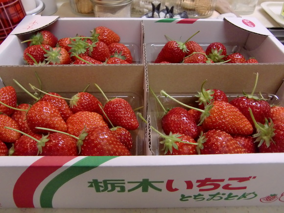 a0134004_1472253.jpg